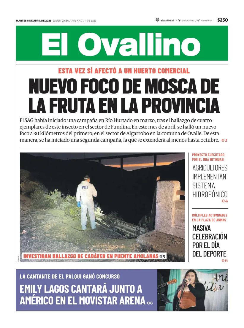 El Ovallino