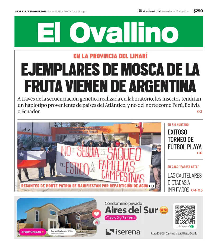 El Ovallino