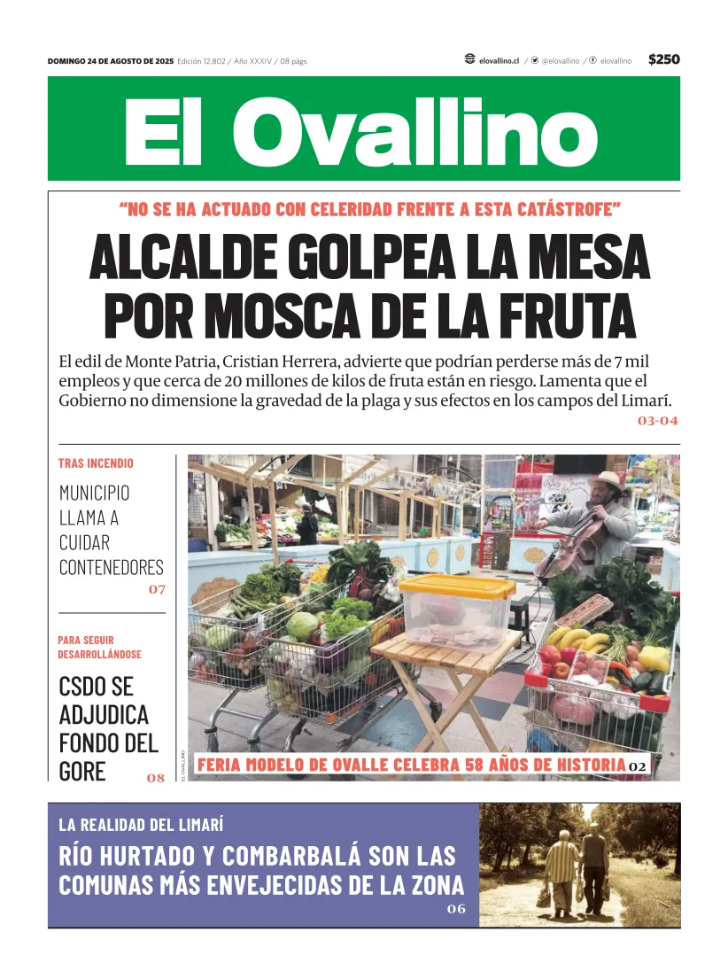 El Ovallino
