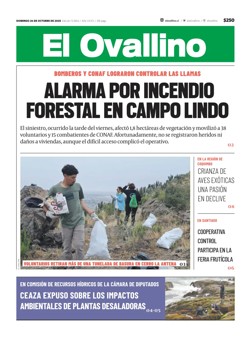 El Ovallino
