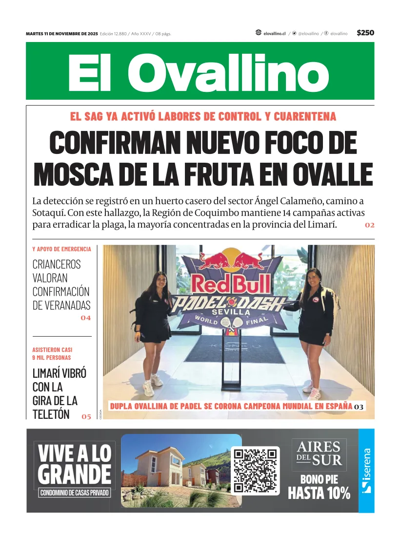 El Ovallino